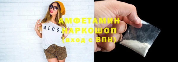 ГАЛЛЮЦИНОГЕННЫЕ ГРИБЫ Строитель