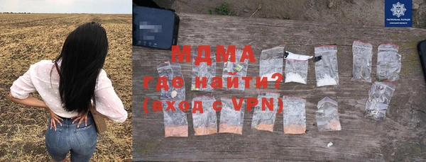 ГАЛЛЮЦИНОГЕННЫЕ ГРИБЫ Строитель