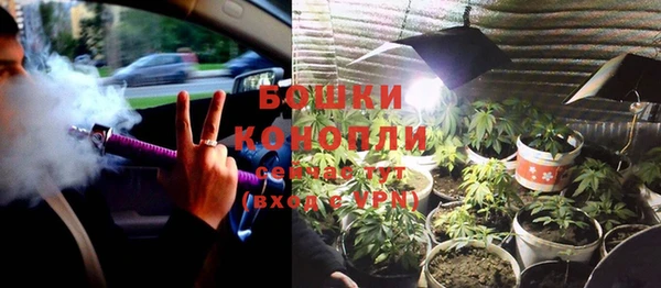 ГАЛЛЮЦИНОГЕННЫЕ ГРИБЫ Строитель