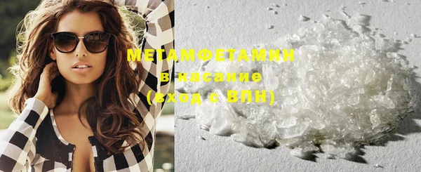 ГАЛЛЮЦИНОГЕННЫЕ ГРИБЫ Строитель