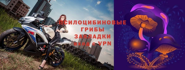 ГАЛЛЮЦИНОГЕННЫЕ ГРИБЫ Строитель