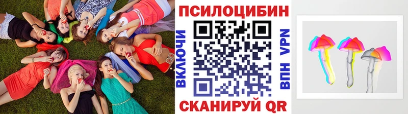 Купить где  Каневская  Галлюциногенные грибы MAGIC MUSHROOMS 