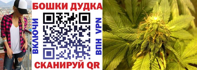 Шишки марихуана SATIVA & INDICA  Купить где  Каневская 
